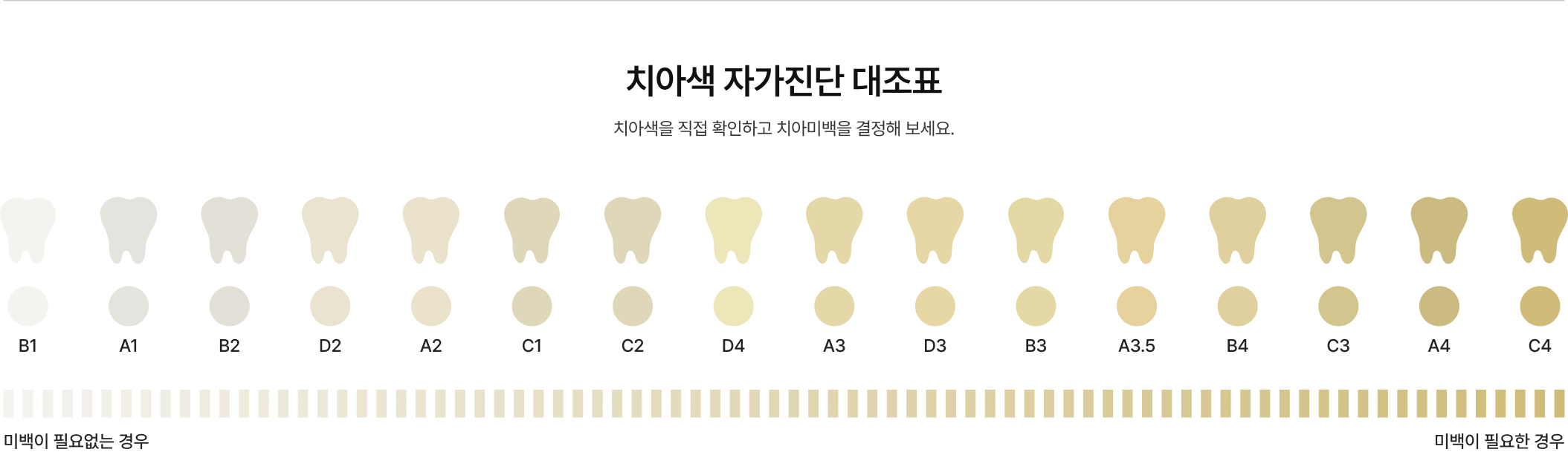 치아색 자가진단 대조표. 치아색을 직접 확인하고 치아미백을 결정해 보세요.